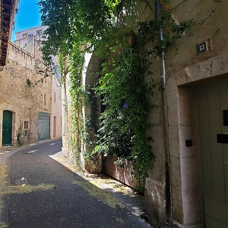 Wifi - Hypercenter - In The Heart Of Avignon! Apartamento Exterior foto
